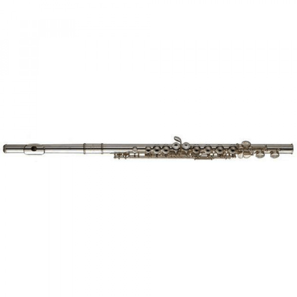 Western concert flute | Random Musical Instruments