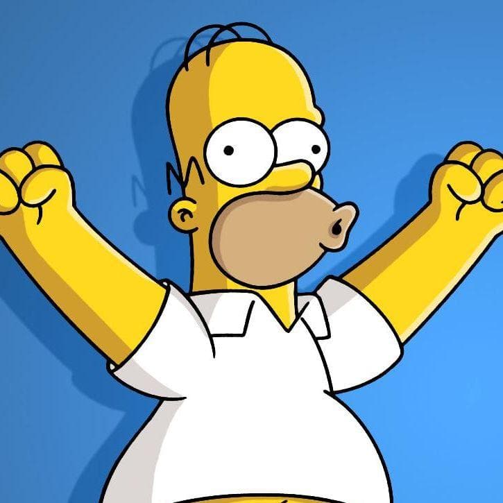 Homer Simpson | Random Cartoon Characters