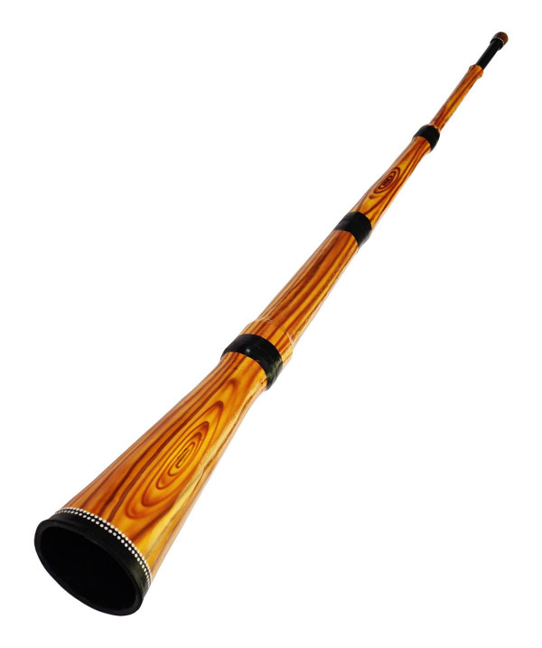Didgeridoo | Random Musical Instruments